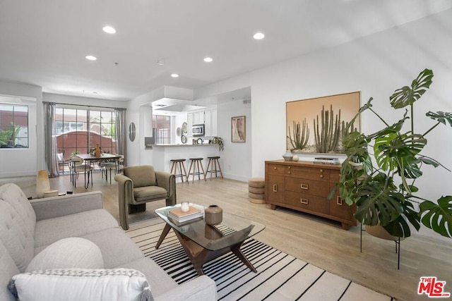 living room with light hardwood / wood-style flooring