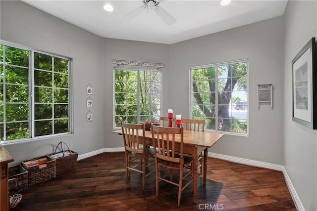 dining area featuring ceiling fan and dark hardwood / wood-style floors