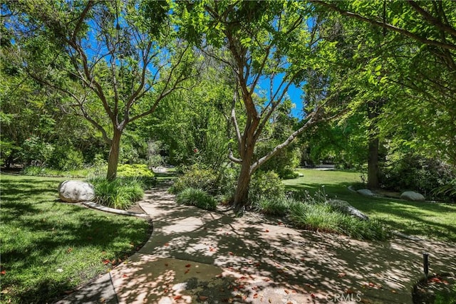 view of home's community with a lawn