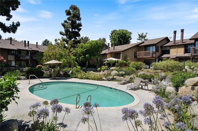 view of pool featuring a patio area