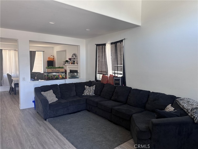 living room featuring hardwood / wood-style floors