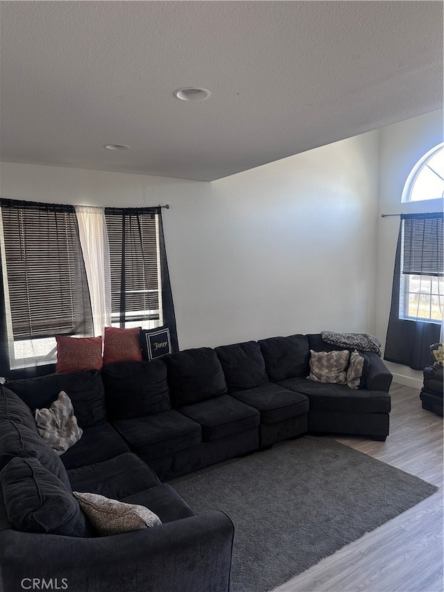 living room with light wood-type flooring and a textured ceiling