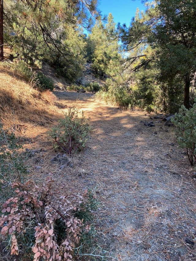 Listing photo 3 for 0 Lakeview Dr, Idyllwild CA 92549