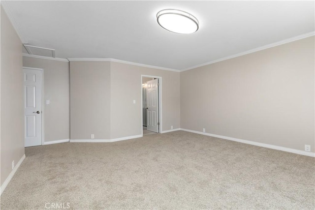 carpeted empty room with crown molding