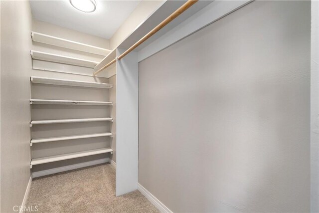 spacious closet featuring light colored carpet