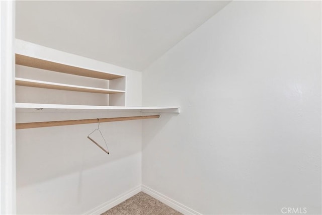 walk in closet featuring carpet and lofted ceiling