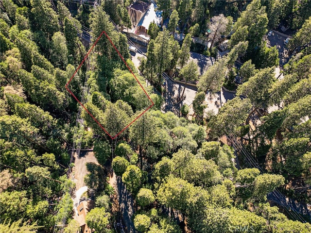 Listing photo 3 for 0 Cottage Grove Rd, Lake Arrowhead CA 92352