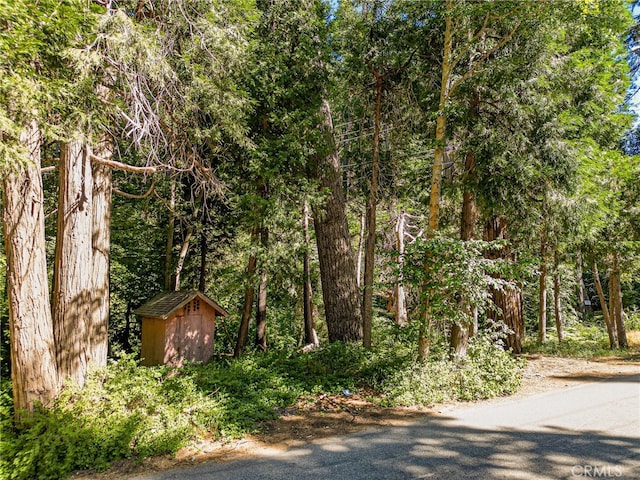 0 Cottage Grove Rd, Lake Arrowhead CA, 92352 land for sale