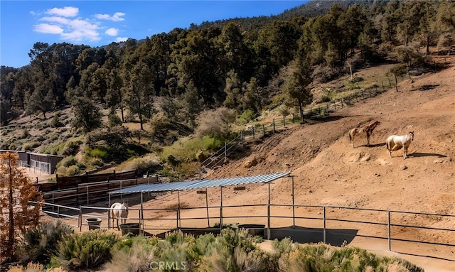 view of mountain feature featuring a rural view