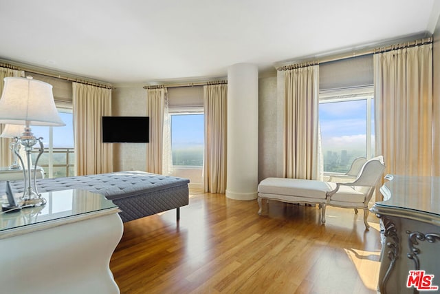 bedroom featuring multiple windows and hardwood / wood-style floors