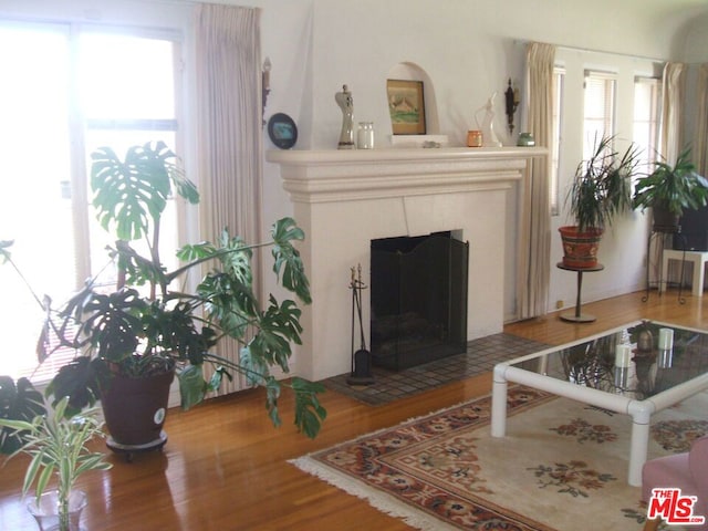 living room with hardwood / wood-style floors