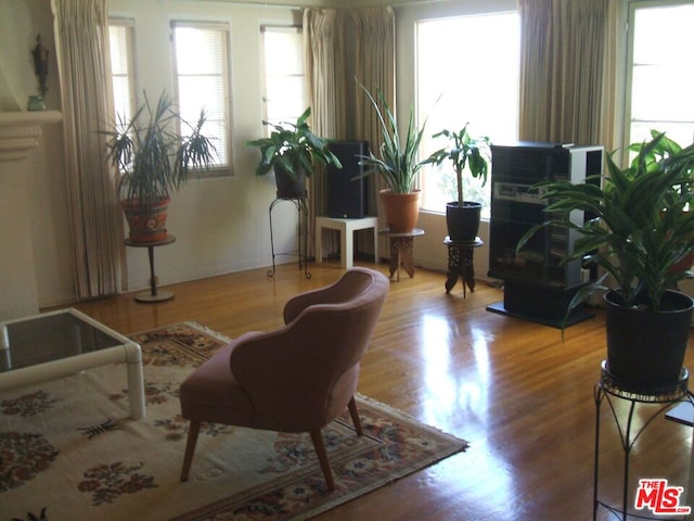 sitting room with hardwood / wood-style floors