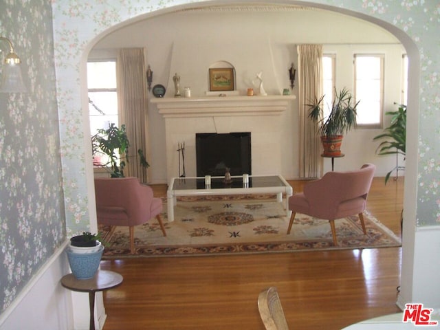 living room with hardwood / wood-style flooring