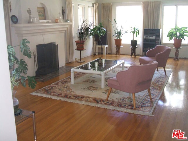 living room with wood-type flooring