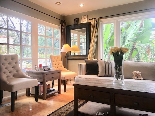 living area with light wood-type flooring and plenty of natural light