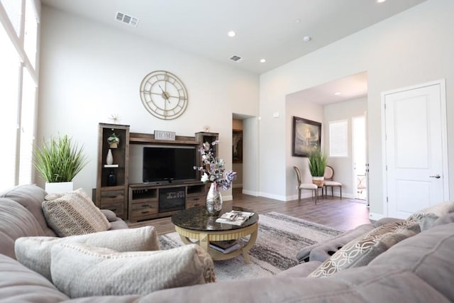 living room with wood-type flooring