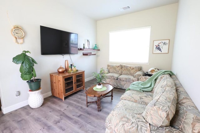 living room featuring wood-type flooring