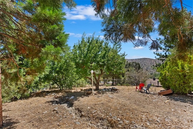 view of yard featuring a mountain view