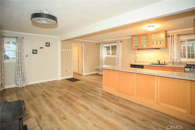 kitchen with sink, a wealth of natural light, and light hardwood / wood-style flooring