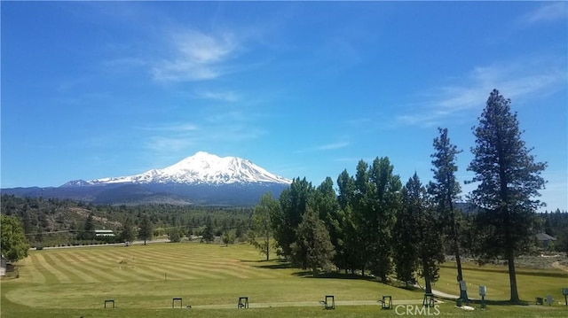 view of property's community with a mountain view and a yard