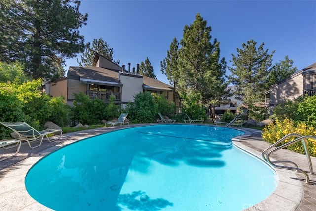 view of swimming pool with a patio area