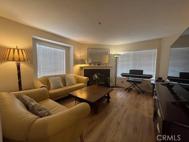 living room featuring hardwood / wood-style floors