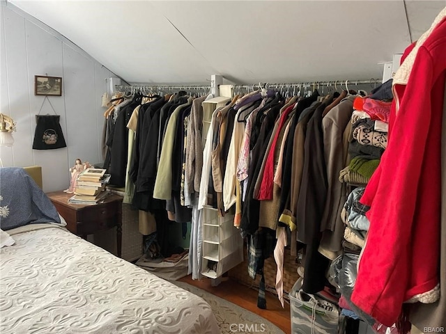 walk in closet featuring hardwood / wood-style flooring