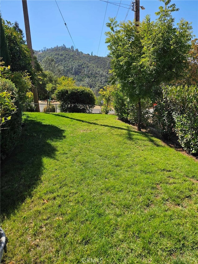 view of yard with a mountain view