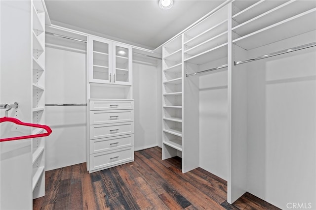 spacious closet featuring dark hardwood / wood-style floors