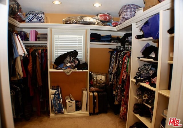 spacious closet featuring carpet flooring