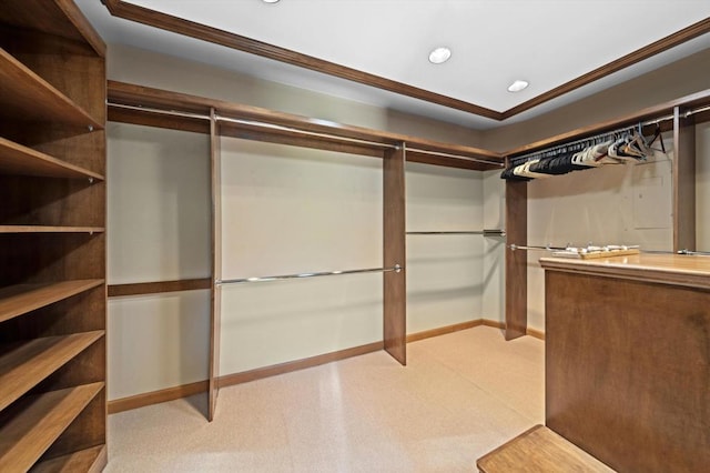 spacious closet featuring light colored carpet