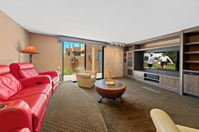 cinema room with carpet floors and track lighting