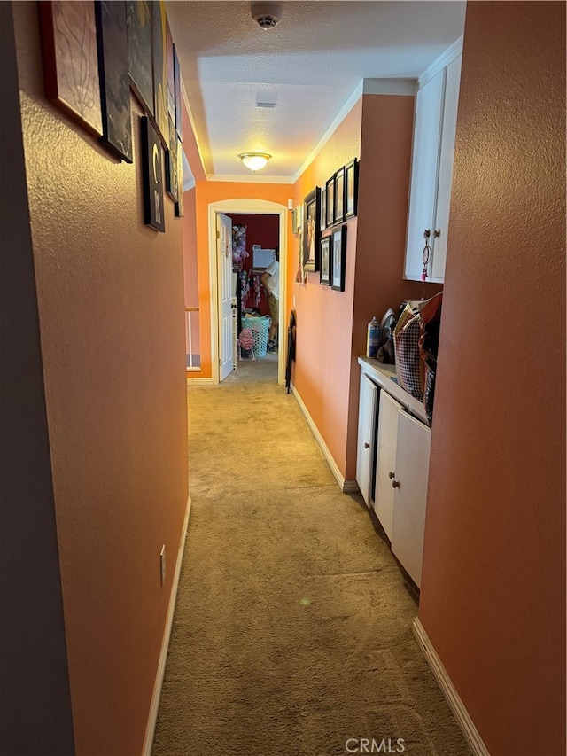 hall with crown molding, light colored carpet, and a textured ceiling