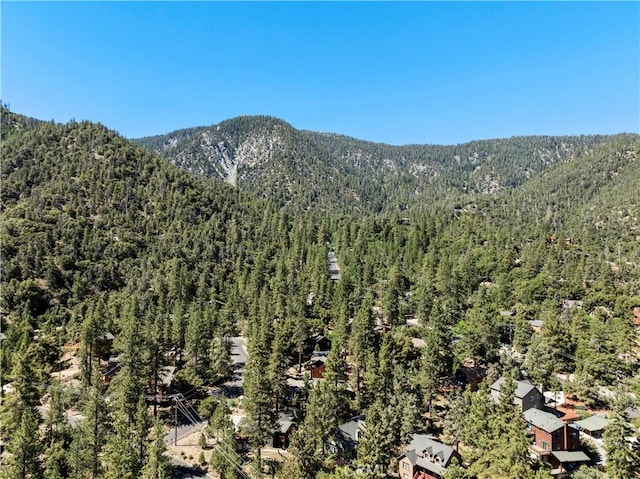 view of mountain feature featuring a forest view