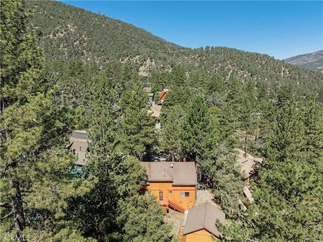 drone / aerial view featuring a mountain view and a view of trees