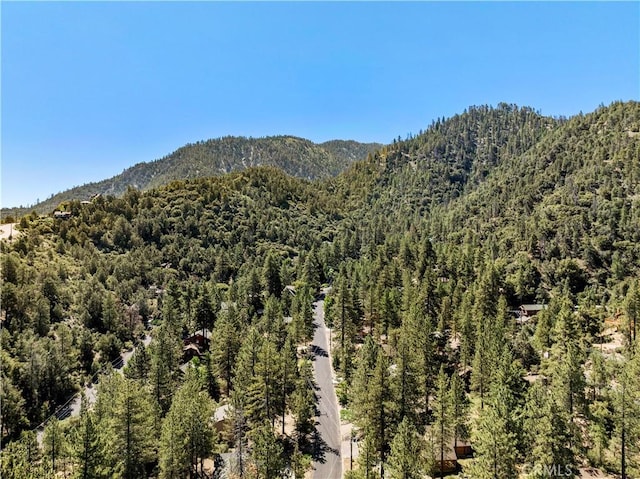 property view of mountains featuring a forest view
