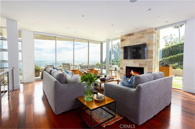 living room featuring dark wood-type flooring and a fireplace