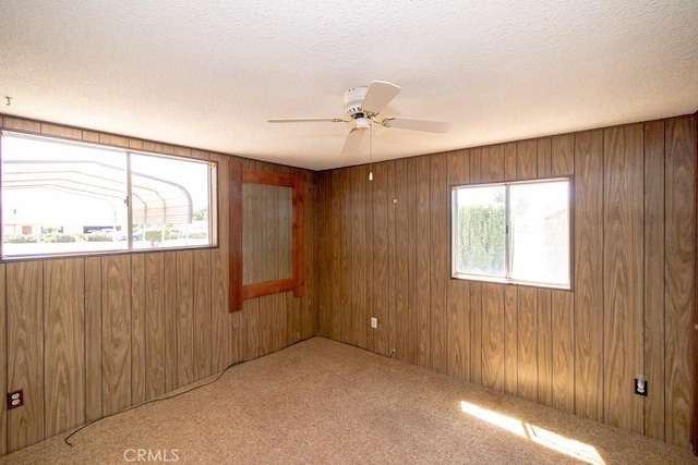 spare room with carpet, wood walls, and a healthy amount of sunlight