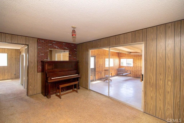 living area with wood walls and a textured ceiling