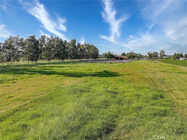 view of yard with a rural view