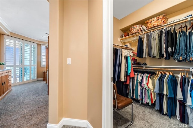 spacious closet featuring light carpet