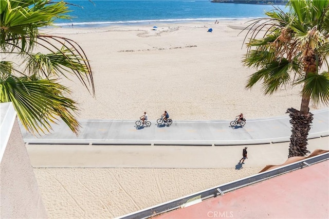 water view featuring a beach view