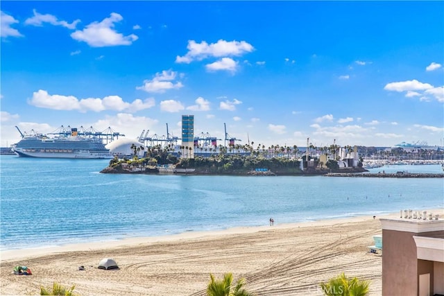 water view with a view of the beach