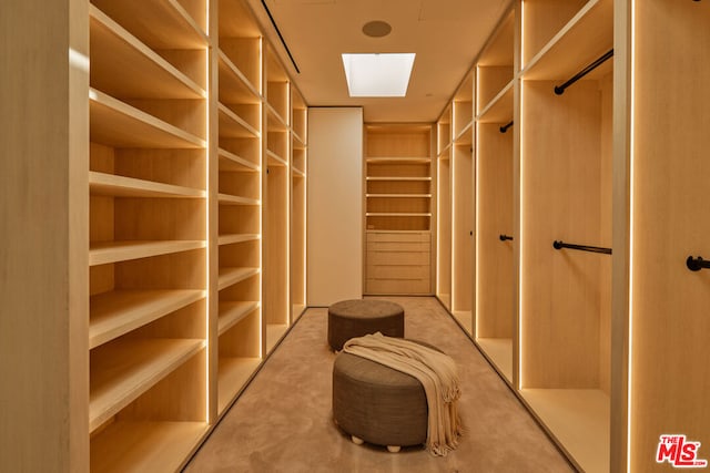 view of walk in closet