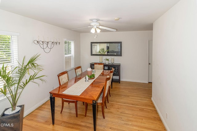 dining space featuring ceiling fan, plenty of natural light, and light hardwood / wood-style floors