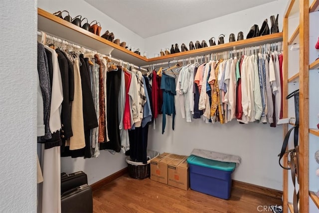 spacious closet with hardwood / wood-style floors