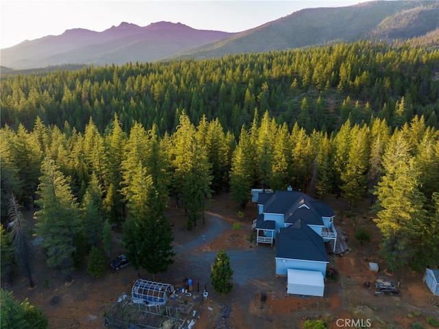 drone / aerial view featuring a mountain view