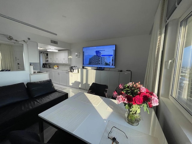 living room featuring sink