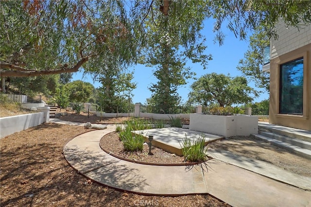 view of yard with a patio area