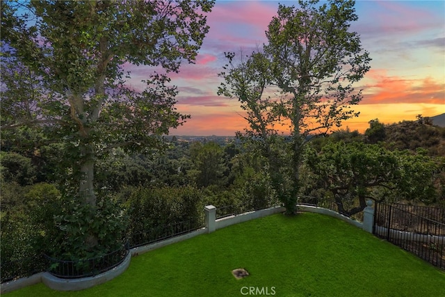 view of yard at dusk